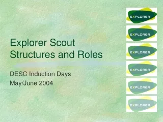 Explorer Scout  Structures and Roles