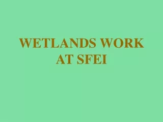 WETLANDS WORK AT SFEI