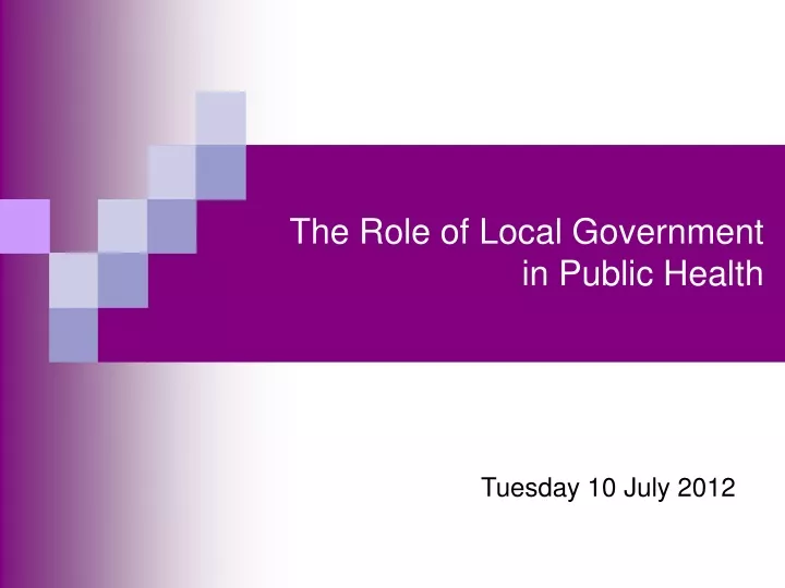 the role of local government in public health