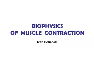 BIOPHYSICS   OF   MUSCLE  CONTRACTION