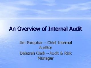 An Overview of Internal Audit