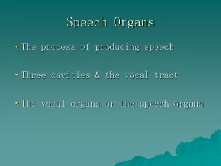 Speech Organs