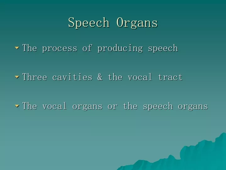speech organs