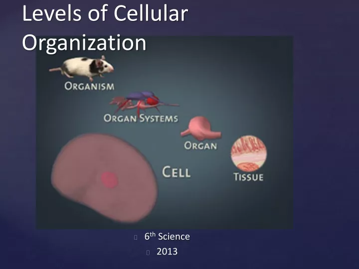 levels of cellular organization