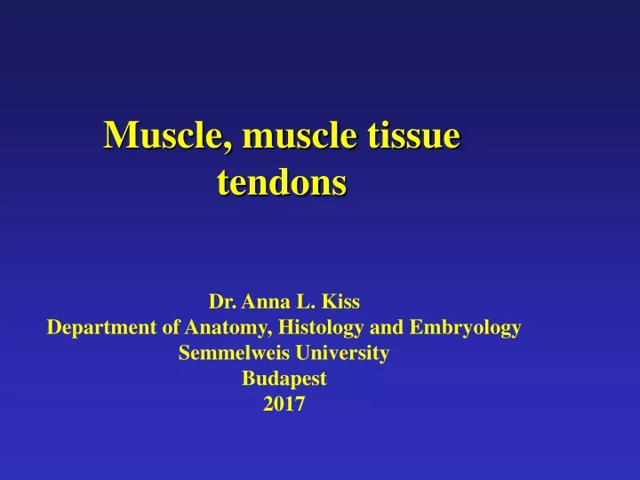 muscle muscle tissue tendons