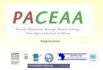 Encouraging Rural Electrification through Agro-Industries in Africa - slide 1