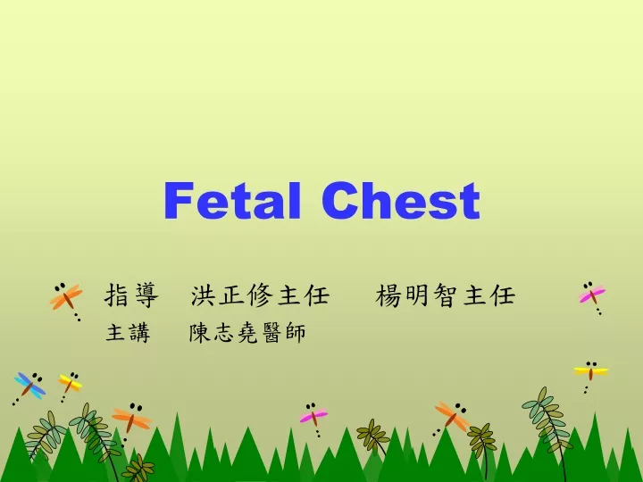 fetal chest