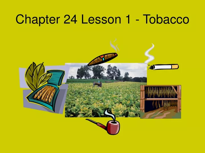 chapter 24 lesson 1 tobacco