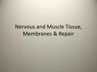 Nervous and Muscle Tissue, Membranes &amp; Repair