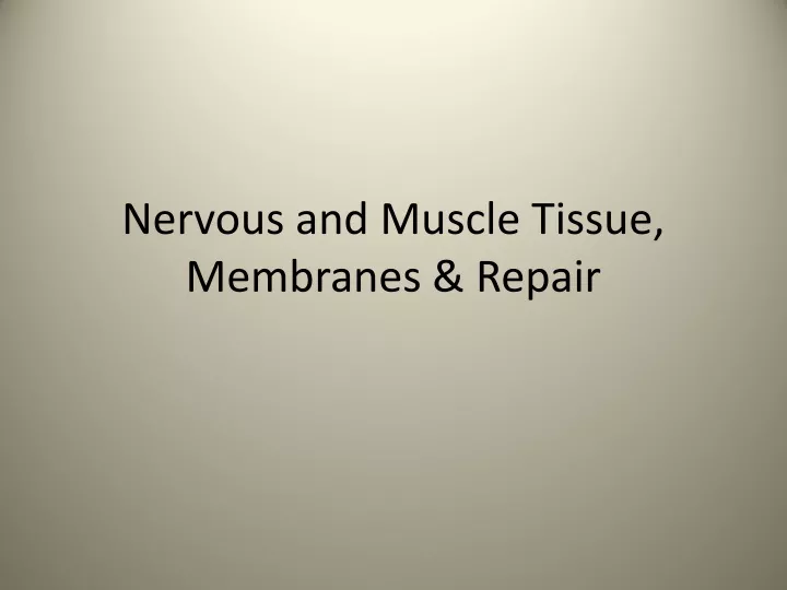 nervous and muscle tissue membranes repair