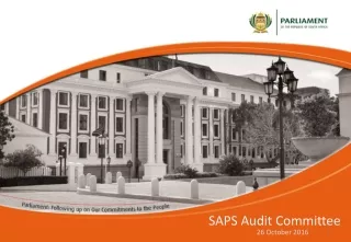 SAPS Audit Committee
