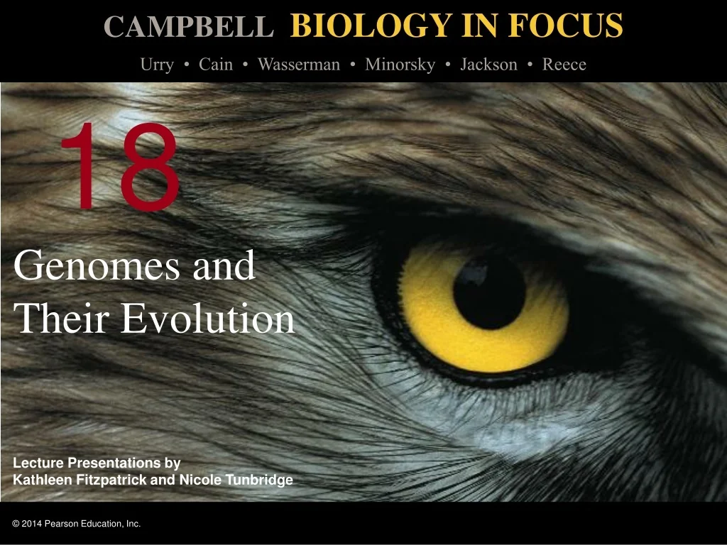 PPT - Exploring Genomes and Evolution PowerPoint Presentation, free ...