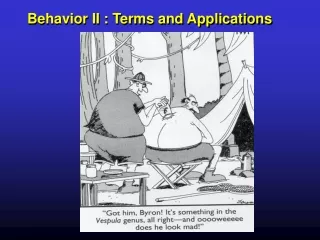 Behavior II : Terms and Applications