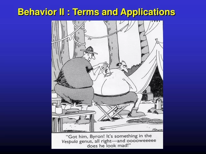 behavior ii terms and applications