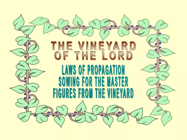 the vineyard of the lord