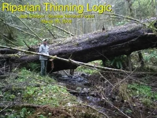Riparian Thinning Logic Jack Sleeper - Siuslaw National Forest March 20, 2008