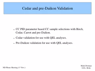 Cedar and pre-Daikon Validation