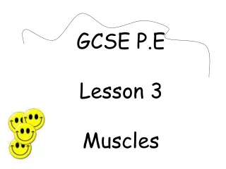 GCSE P.E Lesson 3 Muscles