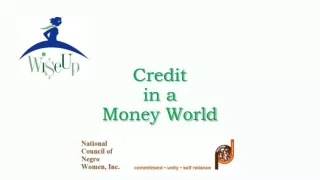 Credit  in a  Money World