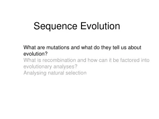 Sequence Evolution