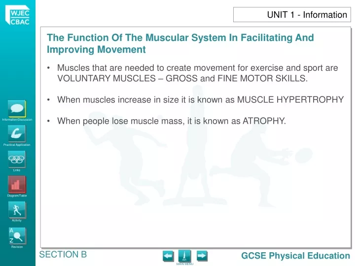 muscles that are needed to create movement