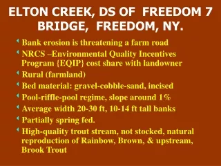 ELTON CREEK, DS OF  FREEDOM 7 BRIDGE,  FREEDOM, NY.