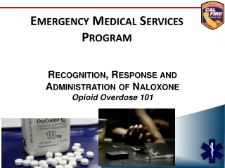 Emergency Medical Services Program