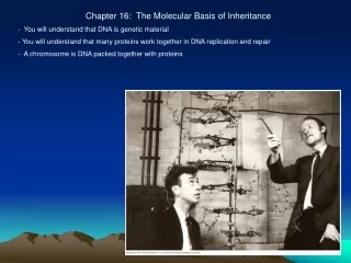 Chapter 16:  The Molecular Basis of Inheritance