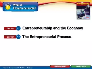 Entrepreneurship and the Economy