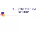CELL STRUCTURE and FUNCTION - slide 1