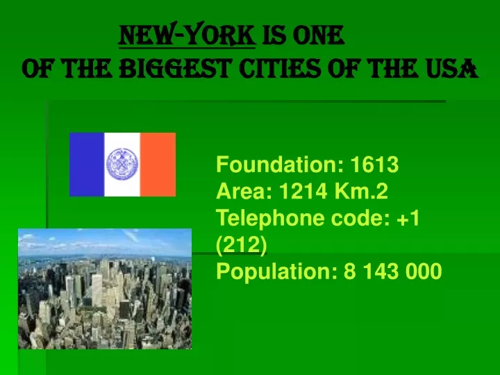new york is one of the biggest cities of the usa