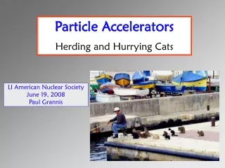 Particle Accelerators Herding and Hurrying Cats