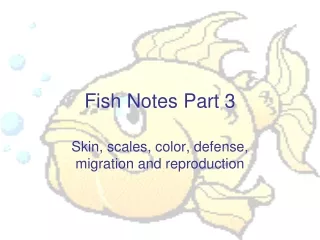 Fish Notes Part 3