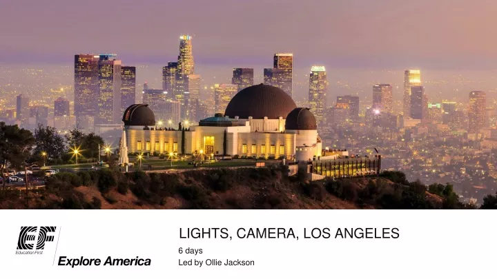 lights camera los angeles