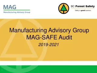 Manufacturing Advisory Group MAG-SAFE Audit