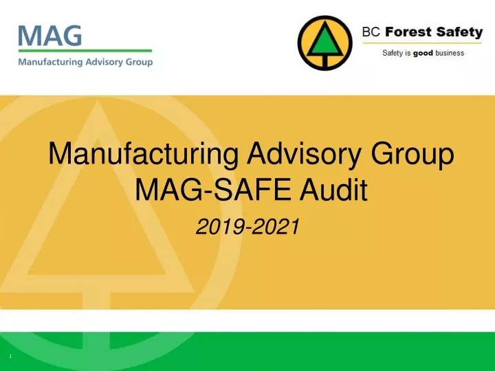 manufacturing advisory group mag safe audit