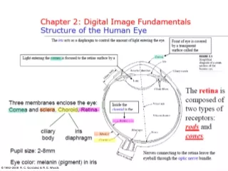 Chapter 2: Digital Image Fundamentals