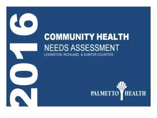 Palmetto Health Overview Office of Community Health  Community Health Needs Assessment Methodology