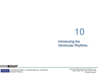 Introducing the Ventricular Rhythms