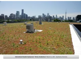 Development of green roofs on the commercial centers in Bucharest