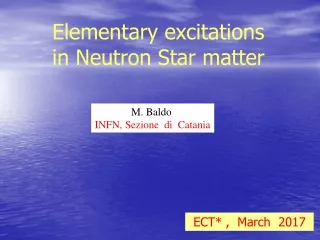 Elementary excitations  in Neutron Star matter