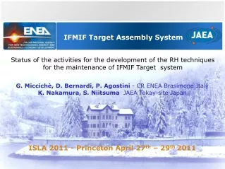 IFMIF Target Assembly System