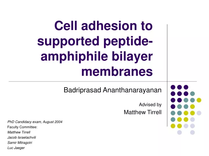cell adhesion to supported peptide amphiphile bilayer membranes