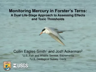 Collin Eagles-Smith 1  and Josh Ackerman 2 1 U.S. Fish and Wildlife Service, Sacramento