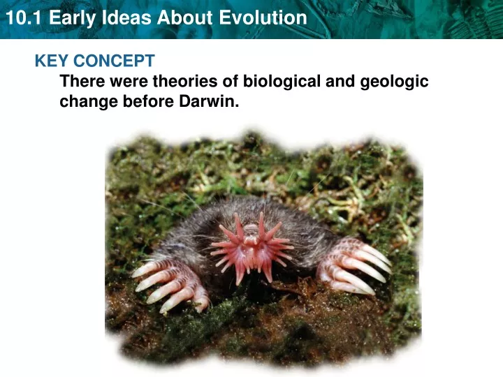 key concept there were theories of biological