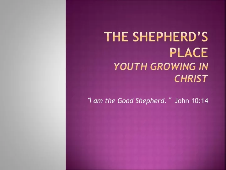 the shepherd s place youth growing in christ