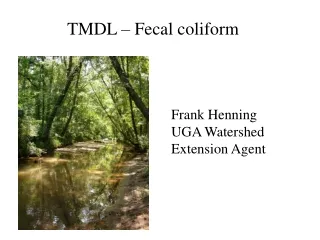 TMDL – Fecal coliform