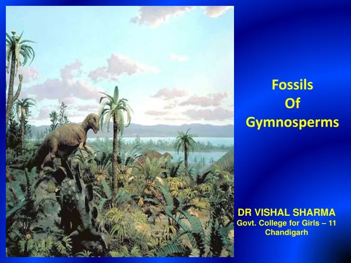 fossils of gymnosperms