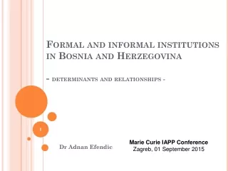 Formal and informal institutions in Bosnia and Herzegovina -  determinants and relationships -