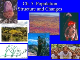 Ch. 5: Population  Structure and Changes